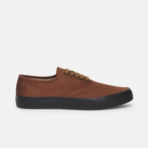 Scarpe Military In CVO Sperry X Beams Plus