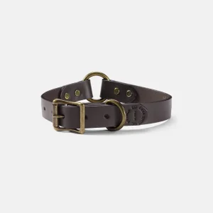 BRIDLE LEATHER DOG COLLAR