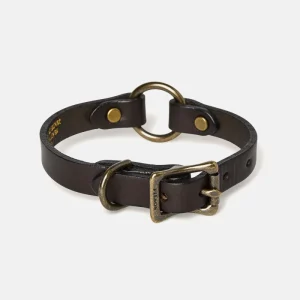 BRIDLE LEATHER PUPPY COLLAR