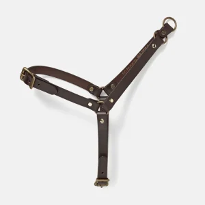 BRIDLE LEATHER DOG HARNESS