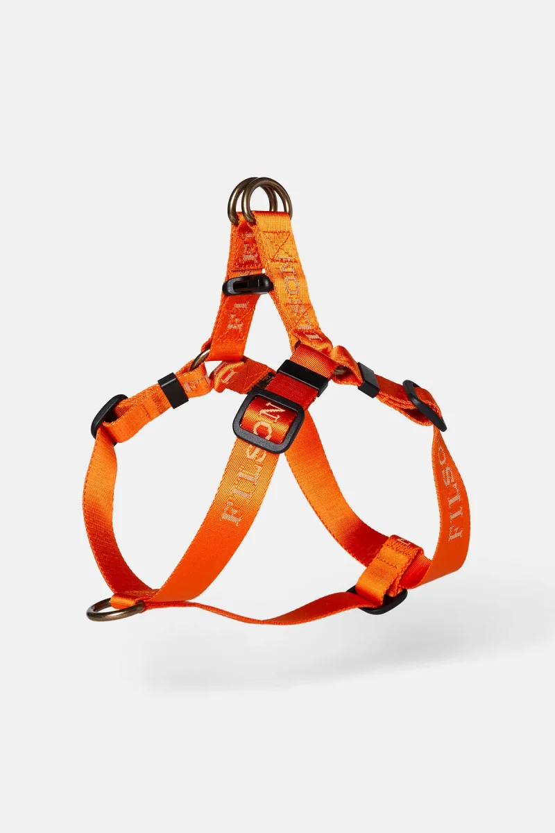 ADJUSTABLE NYLON HARNESS - immagine 2