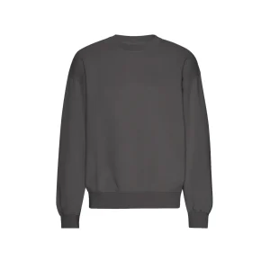 Colorful Stabdard Felpa Girocollo Oversized Cotone Organico Antracite