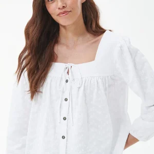 Top Delphinium Barbour