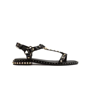 Ash Sandalo Basso Borchie Nero