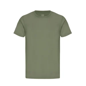 Classic Organic Tee Oliva